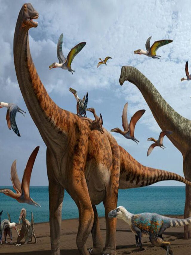 11 facts about Dinosaurs